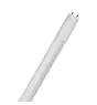 Ledvance Tubo LED T8 Superior (EM/Mains) Ultra Output 14W 2600lm - 840 Bianco Freddo | 120cm - Sostitutiva 36W - Soffitto Alto