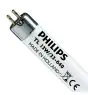 Philips T5 Short 13W - 640 Bianco Freddo | 52cm